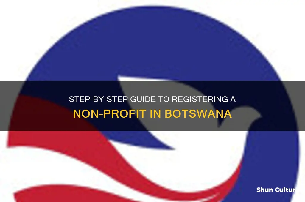 how to register a non profit organisation in botswana