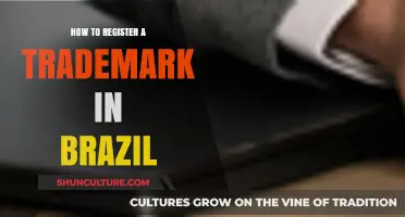 Step-by-Step Guide to Registering a Trademark in Brazil Successfully