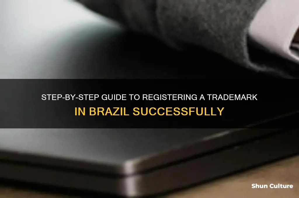 how to register a trademark in brazil