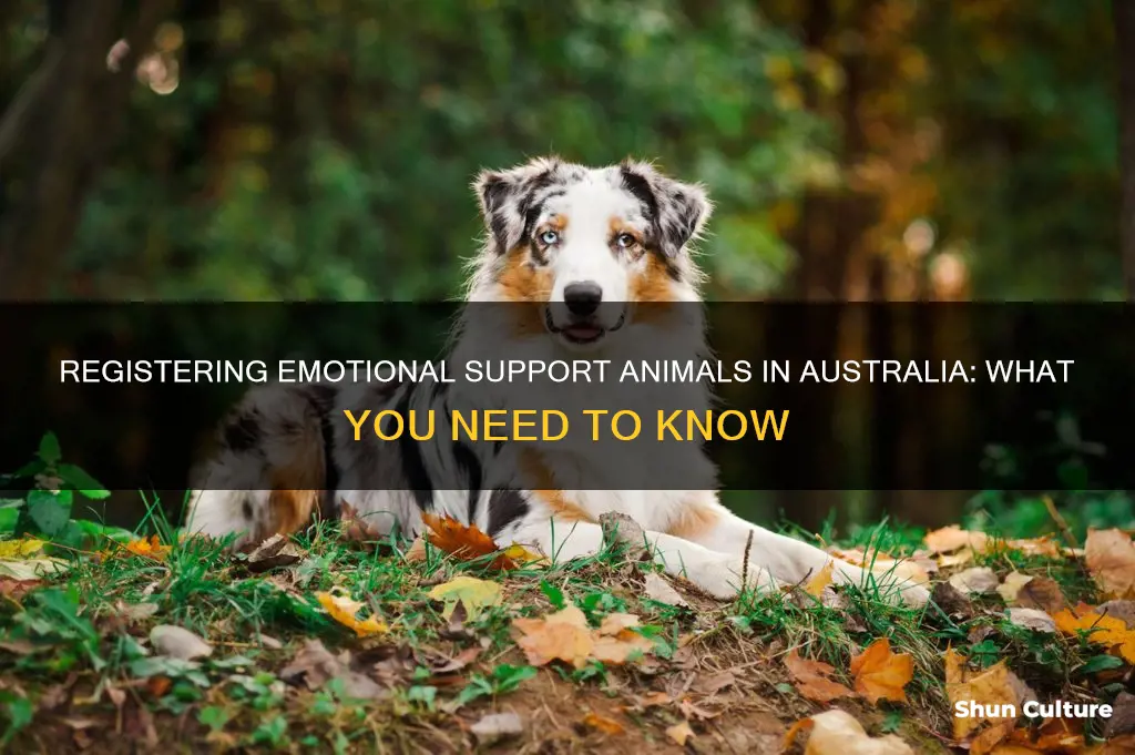 how to register an emotional support animal australia