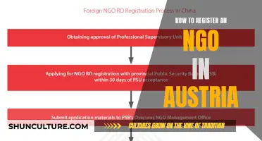 A Comprehensive Guide: Registering Your NGO in Austria