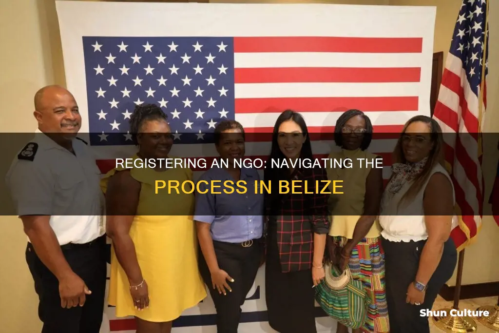 how to register an ngo in belize