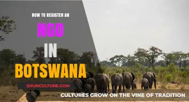 Step-by-Step Guide to Registering an NGO in Botswana Successfully