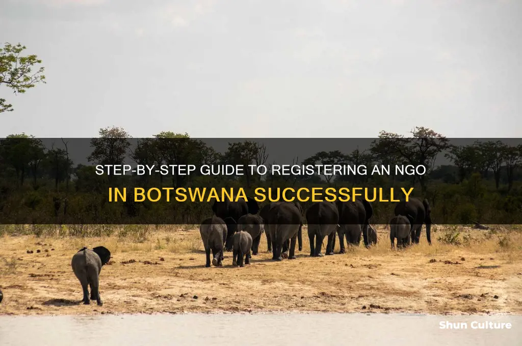 how to register an ngo in botswana