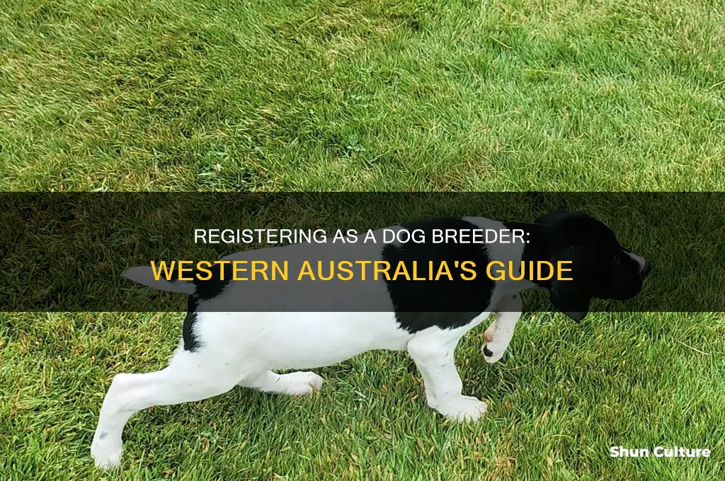 how to register as a dog breeder in western australia