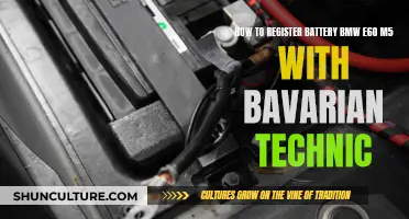 Registering Your BMW E60 M5 Battery with Bavarian Technic