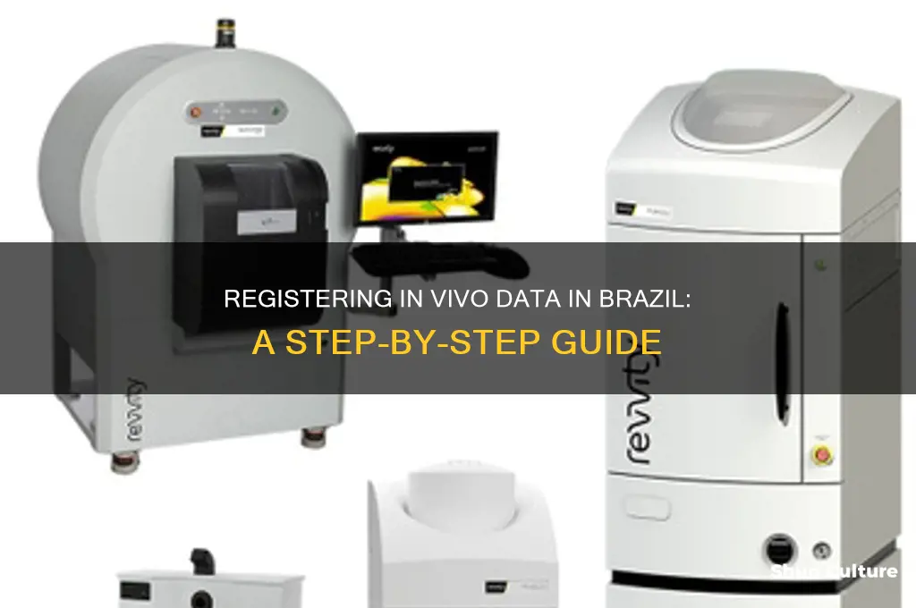 how to register data in vivo brazil