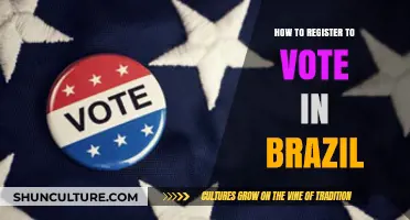 Step-by-Step Guide to Registering to Vote in Brazil