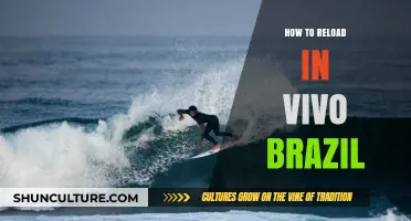 Master Vivo Brazil Reload: A Quick and Easy Guide