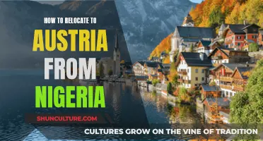 A Comprehensive Guide to Relocating to Austria from Nigeria: Tips and Tricks