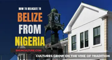 Belize Beckons: Nigerians' Guide to Relocating