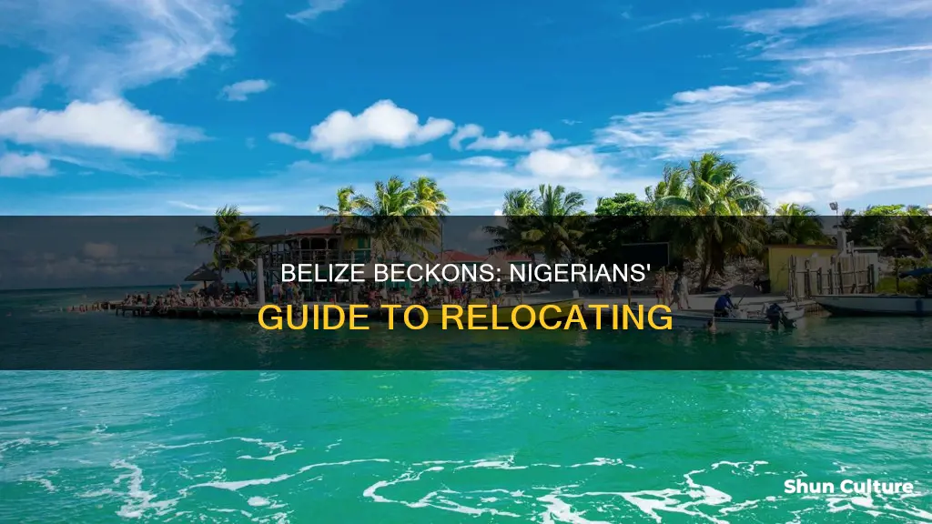 how to relocate to belize from nigeria