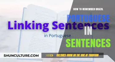 Mastering Brazilian Portuguese: Sentence-Based Memory Techniques for Fluent Recall