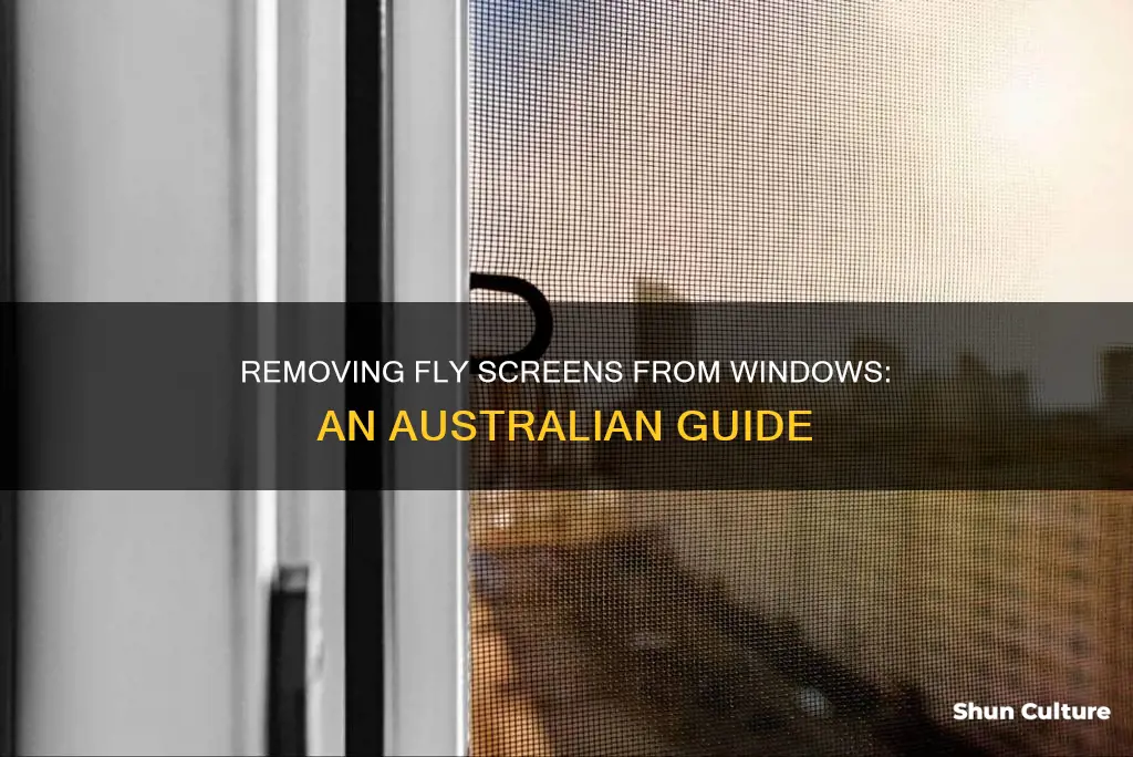 how to remove fly screen from window australia