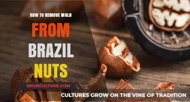 Effective Methods to Safely Remove Mold from Brazil Nuts