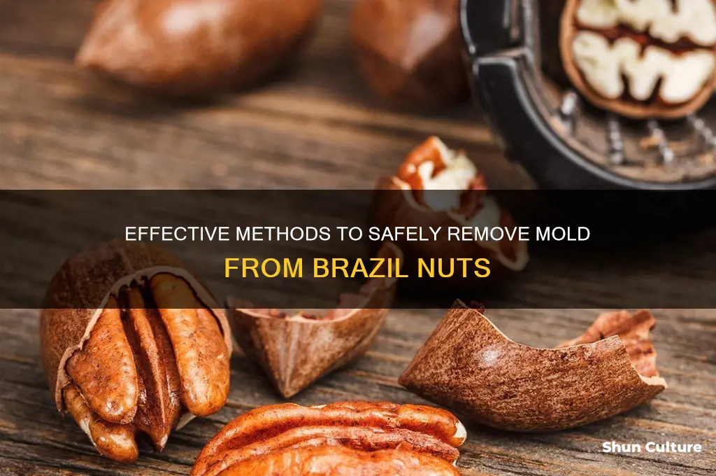 how to remove mold from brazil nuts