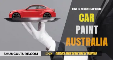 Removing Sap from Your Car Paint: The Australian Guide