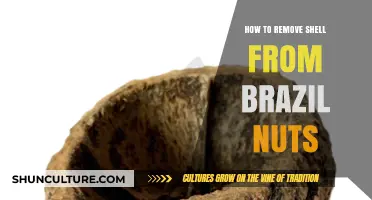 Effortless Brazil Nut Shell Removal: Quick Tips and Techniques
