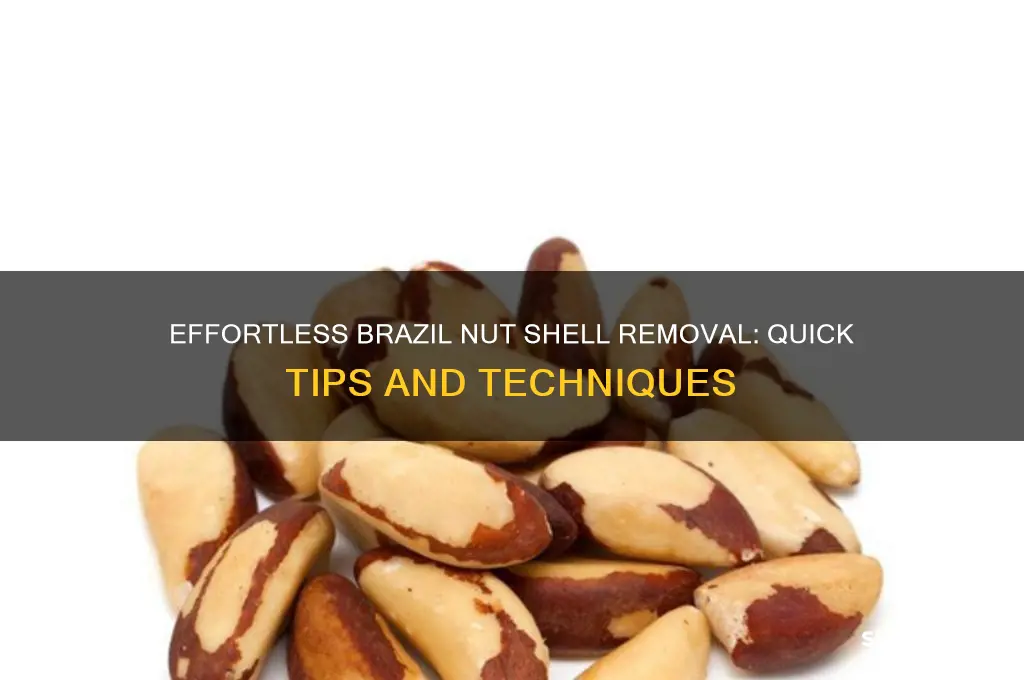 how to remove shell from brazil nuts