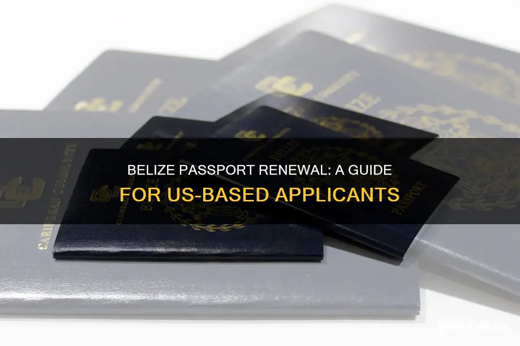 how to renew a belize passport in the us