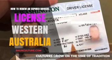 Renewing an Expired WA Driver's License: A Quick Guide