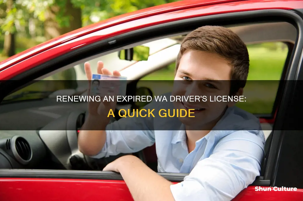 how to renew an expired drivers license western australia