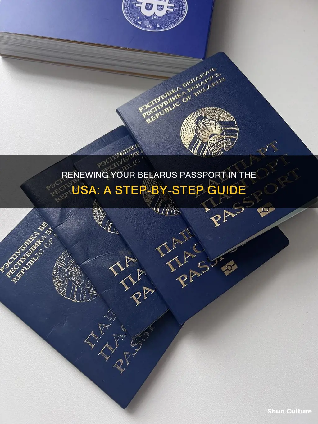 how to renew belarus passport in usa