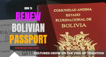 Renewing Your Bolivian Passport: A Step-by-Step Guide