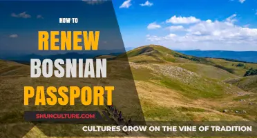 Renew Your Bosnian Passport: A Step-by-Step Guide for Easy Renewal