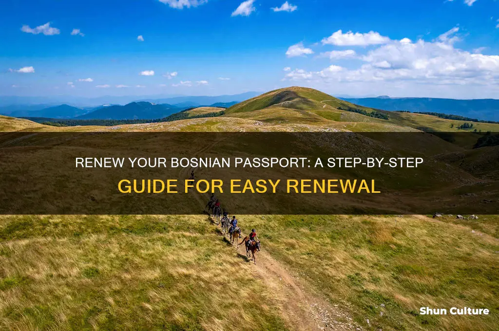 how to renew bosnian passport