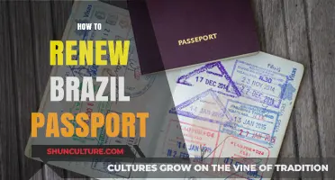 Renew Your Brazil Passport: A Step-by-Step Guide for Hassle-Free Renewal
