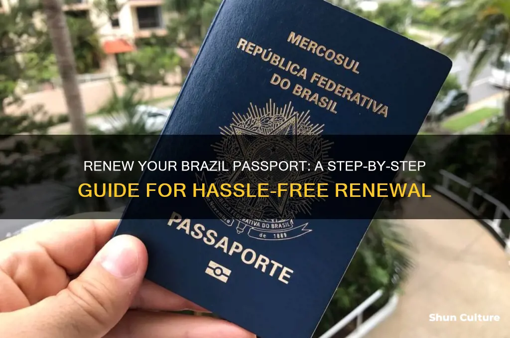 how to renew brazil passport