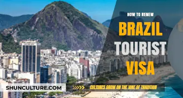 Renewing Your Brazil Tourist Visa: A Step-by-Step Guide for Travelers