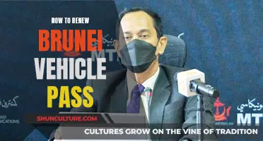 Renewing Brunei Vehicle Pass: A Step-by-Step Guide