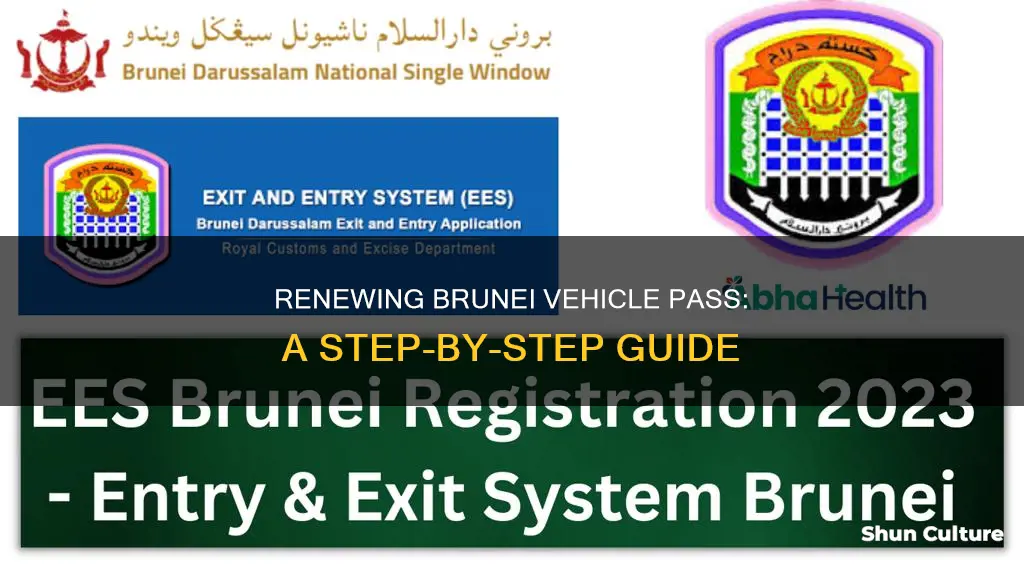 how to renew brunei vehicle pass