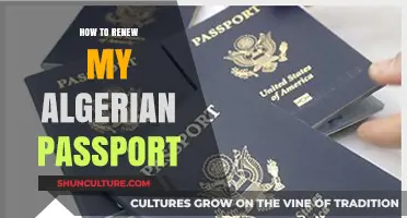 Renewing Your Algerian Passport: A Step-by-Step Guide for Hassle-Free Renewal