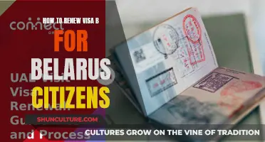 A Guide to Renewing Belarus Visa B for Citizens