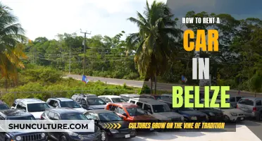 Renting a Car in Belize: A Quick Guide