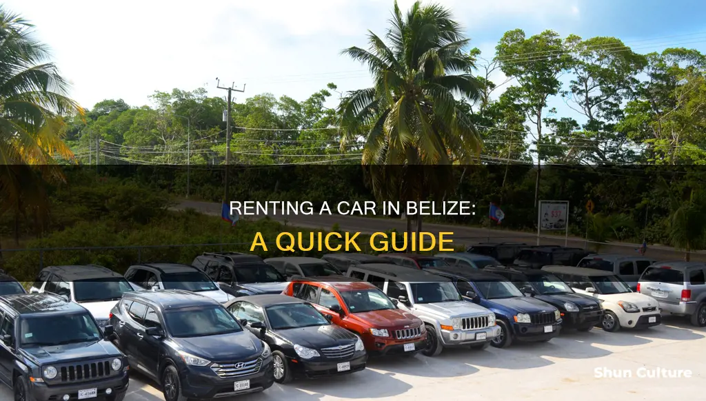 how to rent a car in belize