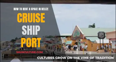 Renting Space on a Belize Cruise Ship: A Guide