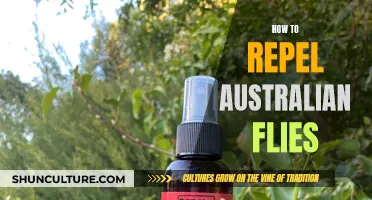 Repelling Australian Flies: Effective Strategies for a Pest-Free Environment