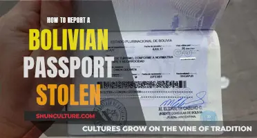 Report a Stolen Bolivian Passport: What to Do