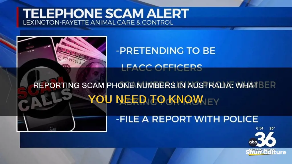 how to report a scam phone number australia