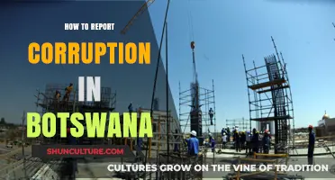 Reporting Corruption in Botswana: A Step-by-Step Guide to Taking Action