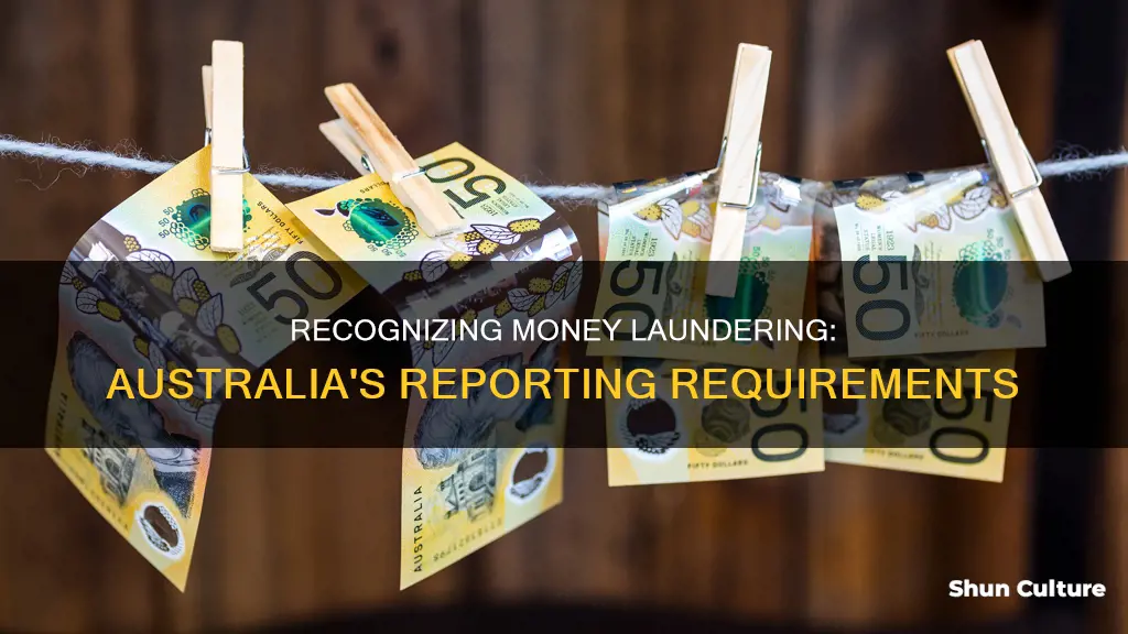 how to report money laundering australia