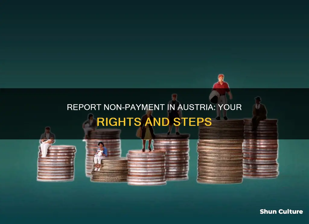 how to report non payment in austria