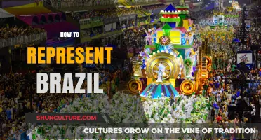 Capturing Brazil's Essence: Culture, Colors, and Carnival in Representation