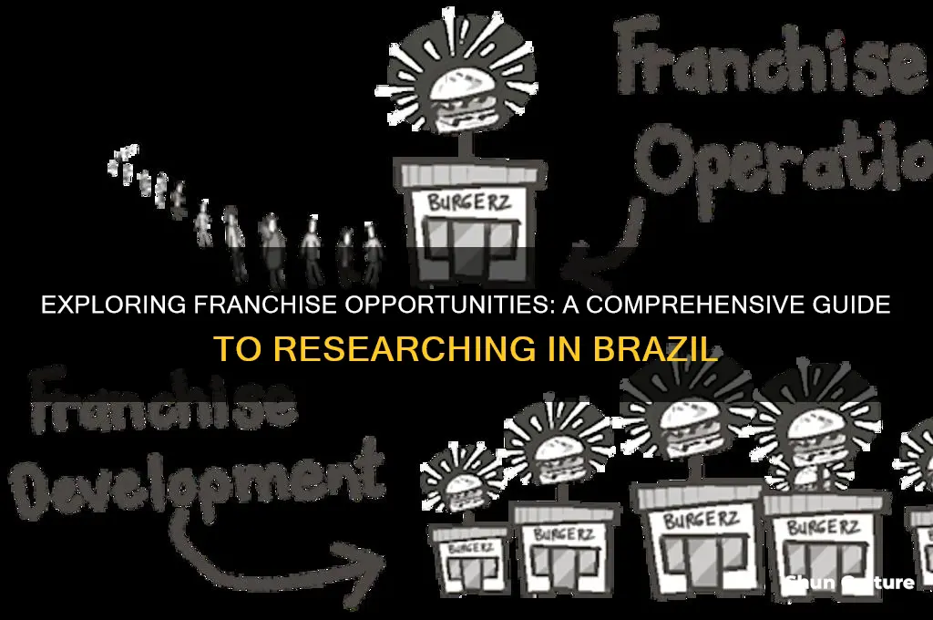 how to research a franchise in brazil