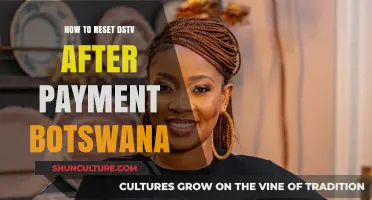 Reset DSTV After Payment in Botswana: A Quick Guide
