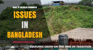 Addressing the Rohingya Crisis: Sustainable Solutions for Bangladesh's Humanitarian Challenge